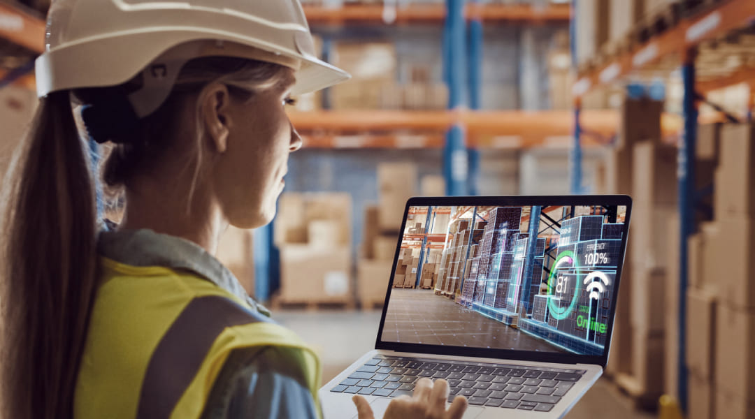 A picture showing a lady doing her warehouse management work for reference